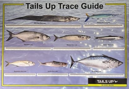 Trace Guide (stick-on)